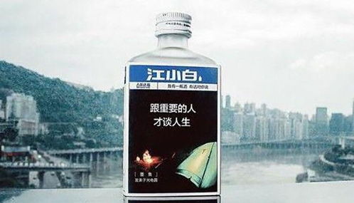江小白为何沦落成了 狗都不喝的酒