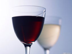 白酒企业谋求红酒市场 需做好本行